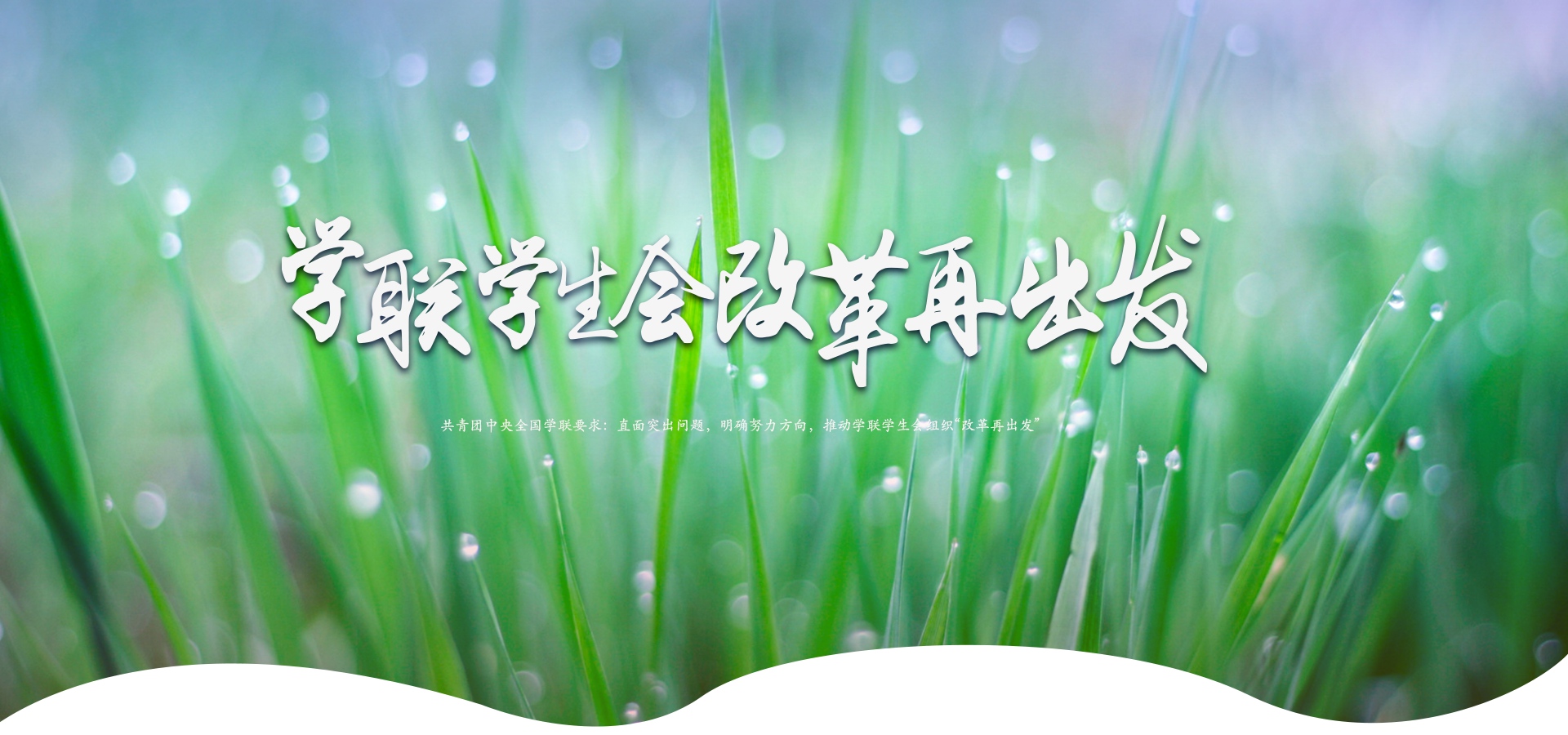 W020200727608350329119_副本.jpg